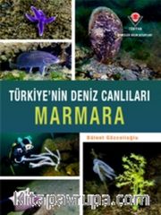 Marmara - Türkiye'nin Deniz Canlıları