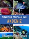 Akdeniz - Türkiye'nin Deniz Canlıları