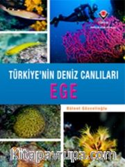 Ege - Türkiye'nin Deniz Canlıları