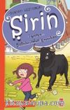 Şirin / İspanya Boğalarından Kaçarken