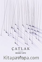 Çatlak