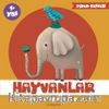 Hayvanlar