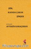 Şiir, Kafada Çakan Şimşek