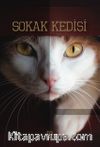 Sokak Kedisi