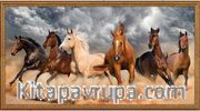 Çöl Atları 10000 Parça (10M-100-HV)