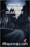 İki Küçük Islak Fare