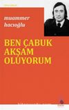 Ben Çabuk Akşam Oluyorum / Toplu Şiirler