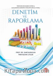 Denetim ve Raporlama