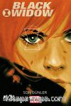 Black Widow Cilt 3 / Son Günler