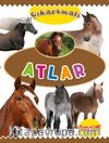 Çıkartmalı Atlar