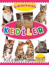 Çıkartmalı Kediler