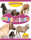Çıkartmalı Midilliler