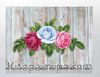Full Frame Duvar Sanatları - CanvasWall DD - Retro Kırmızı Beyaz Gül (FF-W164)