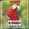  Tropik Orman / Hayvanlar Dünyası