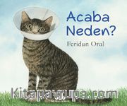 Acaba Neden?