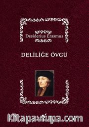 Deliliğe Övgü