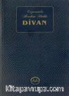 Divan Erzurumlu İbrahim Hakkı 