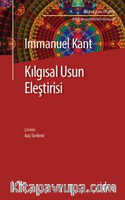 Kılgısal Usun Eleştirisi