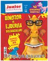 Dinazor ve Ejderha Bulmacaları - Eğlenceli Öğretici 40 Bulmaca 42 Çıkartma Hediye 