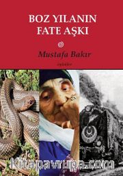 Boz Yılanın Fate Aşkı
