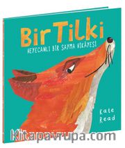 Bir Tilki