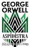 Aspidistra