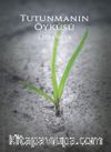 Tutunmanın Öyküsü