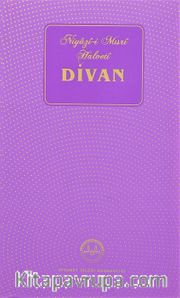 Niyazi-i Mısri Halveti Divanı
