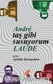 Taş Gibi Susuyorum