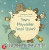 Yavru Hayvanlar Nasıl Uyur?