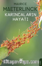 Karıncaların Hayatı