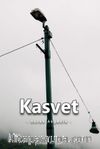 Kasvet