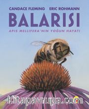 Balarısı