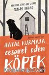 Hayal Kurmaya Cesaret Eden Köpek