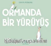 Ormanda Bir Yürüyüş