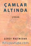 Çamlar Altında