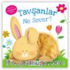 Tavşanlar  Ne Sever ? / Dokun Hisset