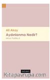 Aydınlanma Nedir? Minor Politika II