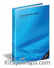Kamu Ekonomisi Analizi