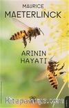 Arının Hayatı