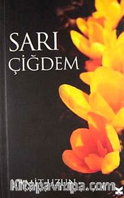 Sarı Çiğdem
