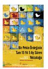 Bir Pekin Ördeğinin Tam 15 Yıl 5 Ay Süren Yolculuğu