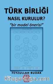 Türk Birliği Nasıl Kurulur? <br /> Bir Model Önerisi