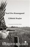 Gökteki Kuşlar