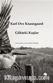 Gökteki Kuşlar