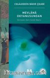 Mevlana Okyanusundan