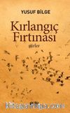 Kırlangıç Fırtınası