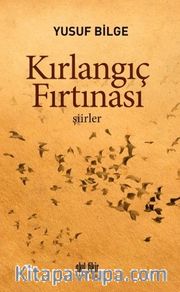 Kırlangıç Fırtınası