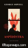 Aspidistra