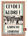 Karıncayı Tanırsınız